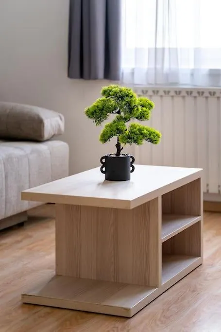 Central Comfort Haven Budapest Apartment